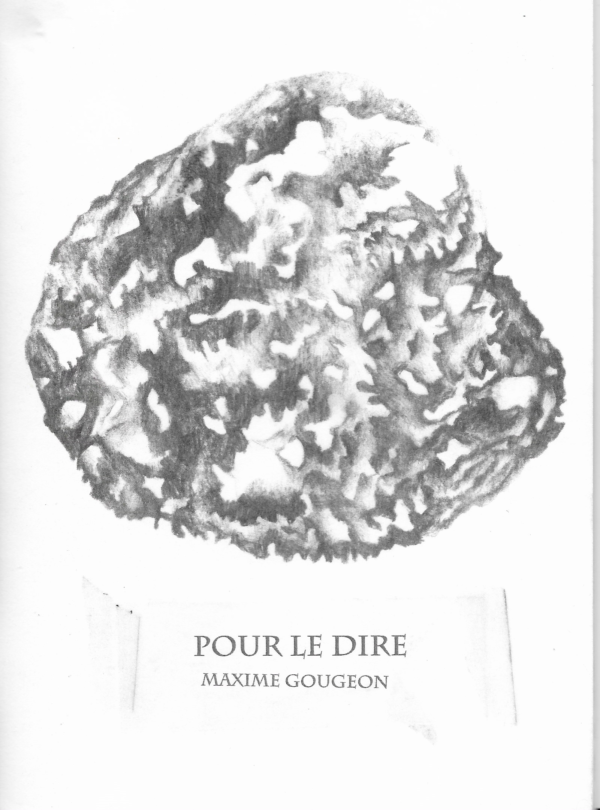 Pour le dire