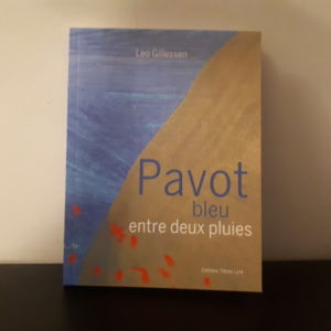 Pavot bleu entre deux pluies