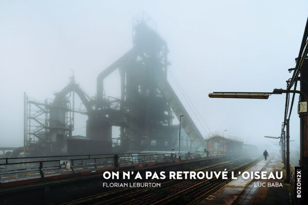 On n'a pas retrouvé l'oiseau