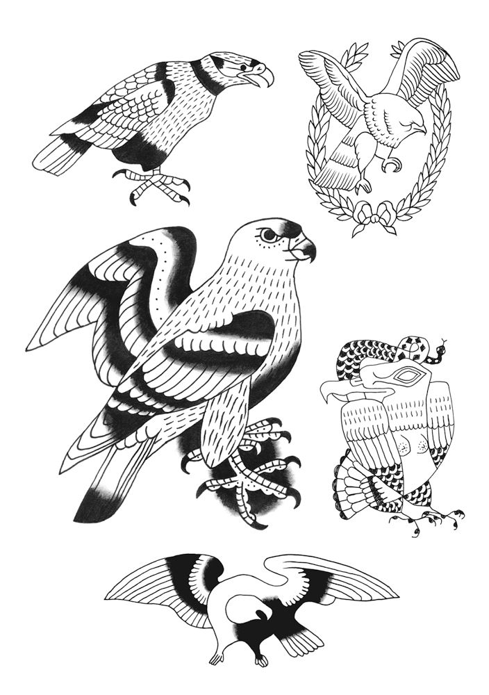 9782919347247-precis-dermo-pictural-illustre