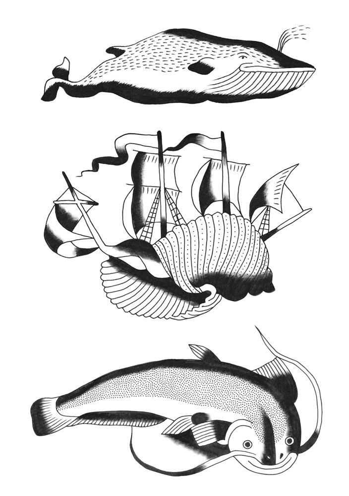 9782919347247-precis-dermo-pictural-illustre