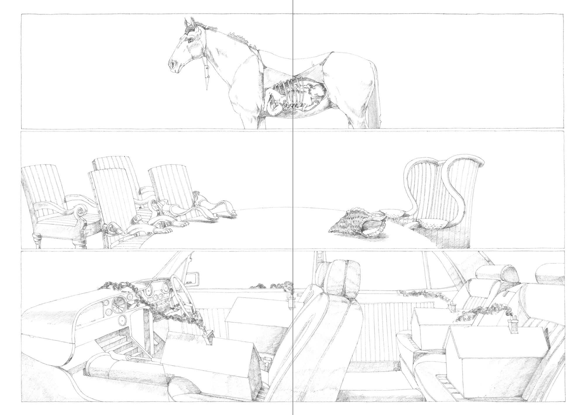 9782919347414-puzzle-sauvage