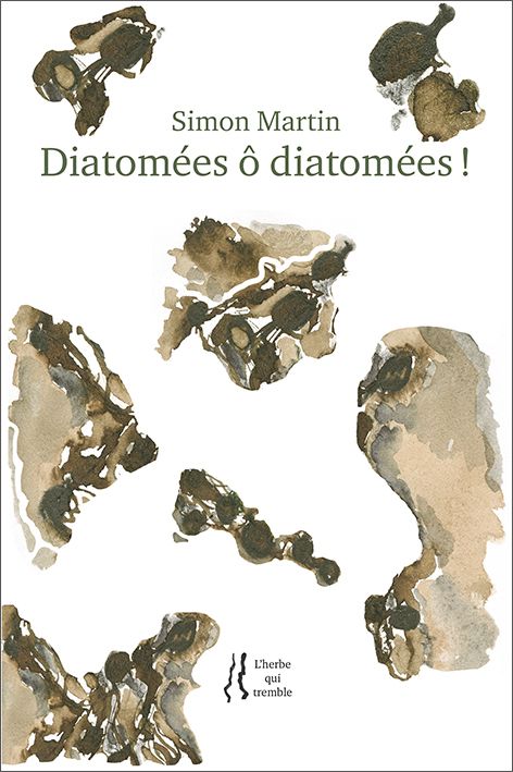 9782488229050-diatomees-o-diatomees