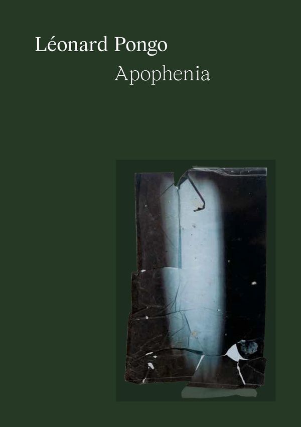 9782875721211-apophenia